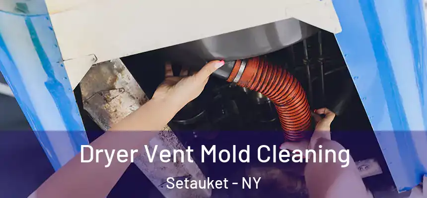  Dryer Vent Mold Cleaning Setauket - NY