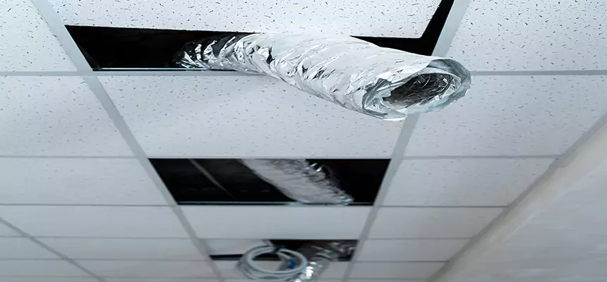 Our Air Duct Pet Hair Removal Services in Setauket, NY