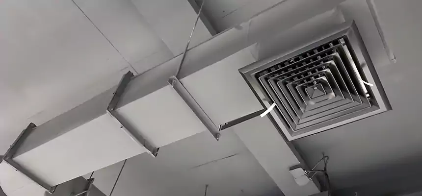 Our Pest Removal From Ducts Services in Setauket, NY