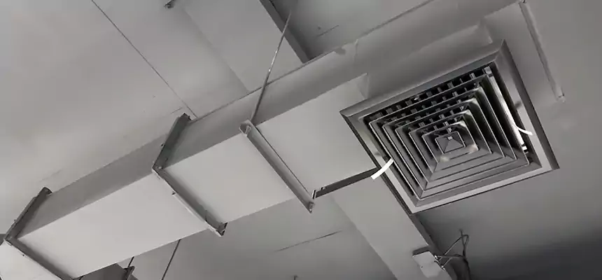 Our Rodent Droppings In Vents Services in Setauket, NY