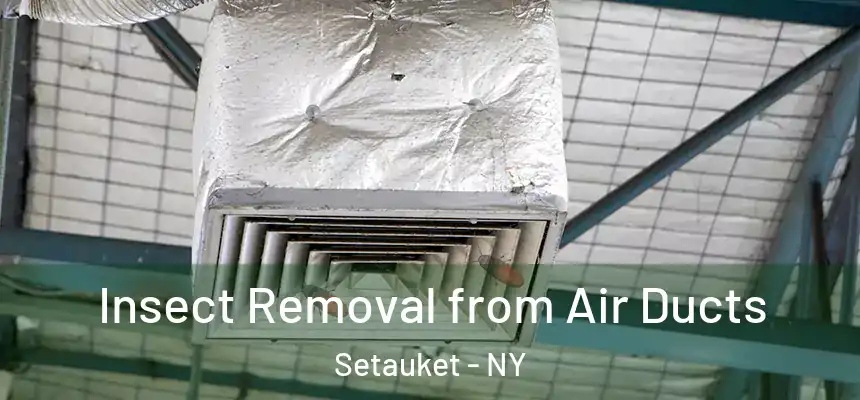  Insect Removal from Air Ducts Setauket - NY