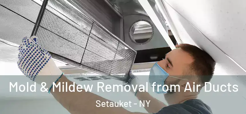  Mold & Mildew Removal from Air Ducts Setauket - NY