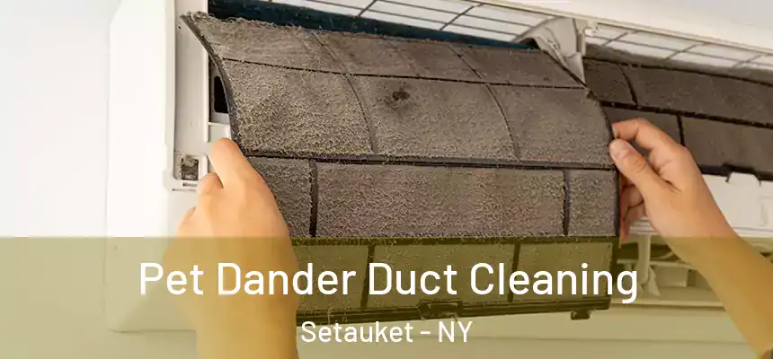  Pet Dander Duct Cleaning Setauket - NY
