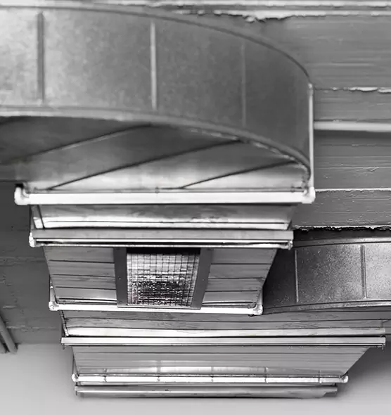 Professional Air Duct Pest Removal in Setauket, NY