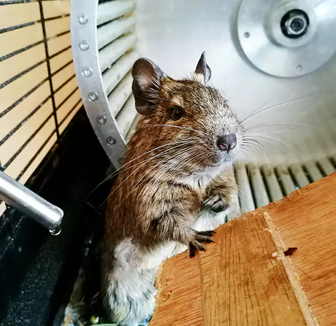 Why Homeowners & Businesses Trust Us Setauket, NY